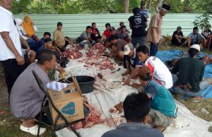 Momen Idul Adha, Dandim 1628/SB: Tumbuhkan Kepedulian Sosial