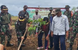 Jaga Kelestarian Alam, Kodim 1628 Bersama Pemda KSB Gelar Penanaman Pohon dan Jagung Perdana
