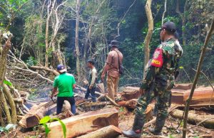 Cegah Pembalakan Liar, Personil Kodim 1607/Sumbawa Patroli Gabungan Pengamanan Hutan