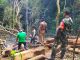 Cegah Pembalakan Liar, Personil Kodim 1607/Sumbawa Patroli Gabungan Pengamanan Hutan