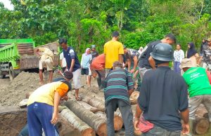 Babinsa Desa Karang Dima Bersama Masyarakat Gotong Royong Pembuatan Jembatan Darurat