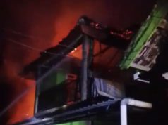 Si Jago Merah Mengamuk di Kelurahan Bugis Taliwang