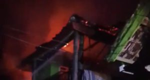 Si Jago Merah Mengamuk di Kelurahan Bugis Taliwang